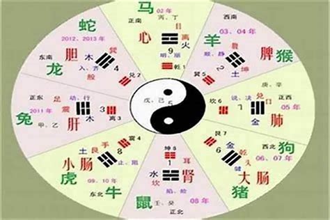 臻五行|臻字的五行属性